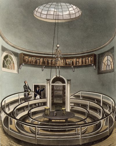 Interior of the Theatre of Anatomy, Cambridge (from 